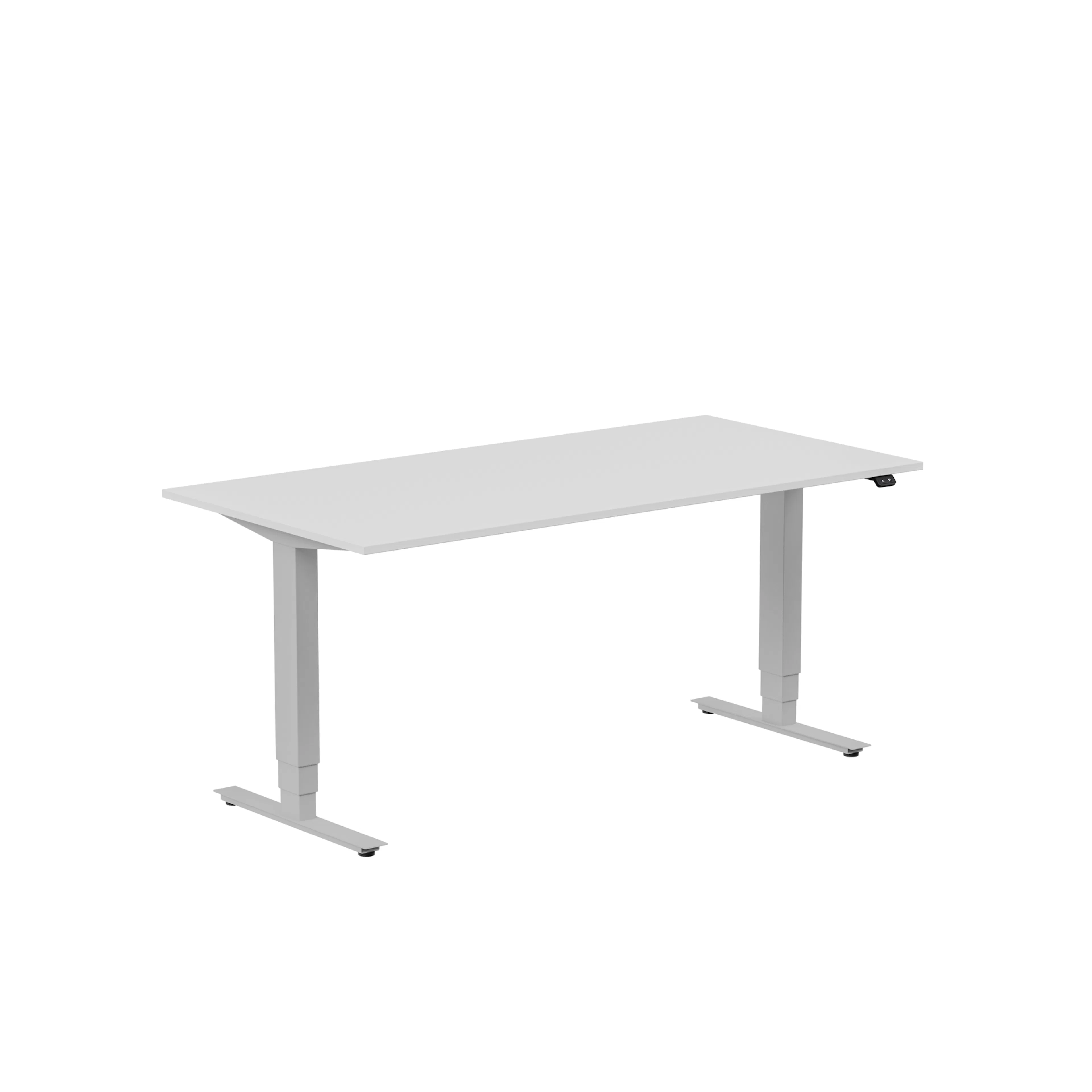 Ljusgrå/Silver