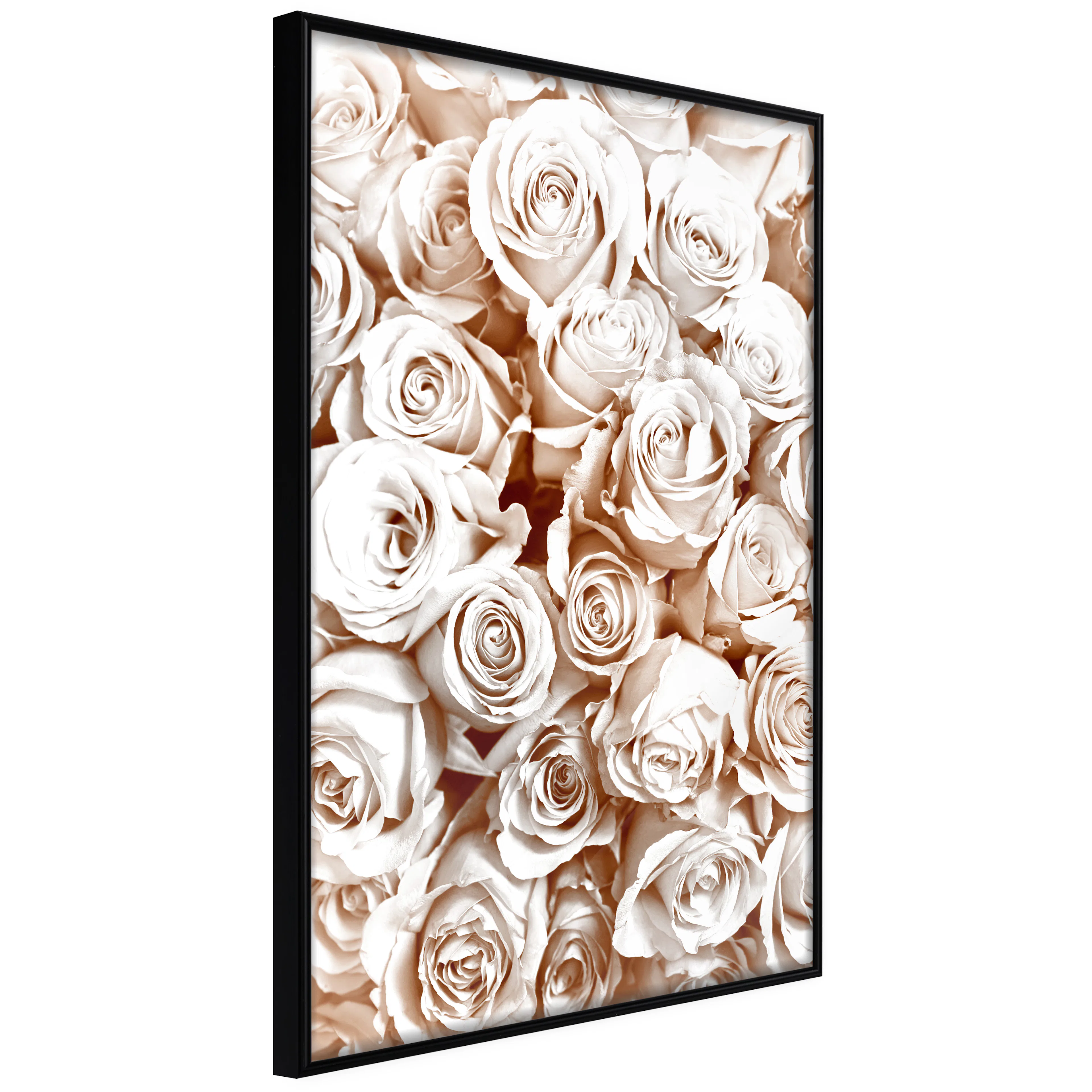 Affisch - Rose Garden [Poster] 30x45 Svart ram, 30x45 cm