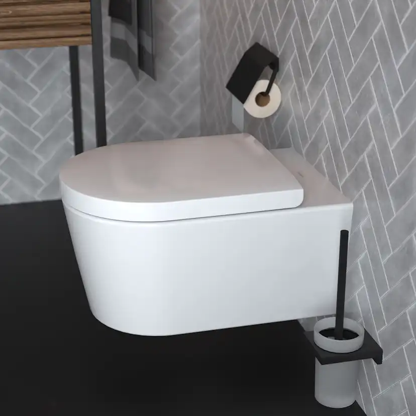 WC-borste Hansgrohe AddStoris