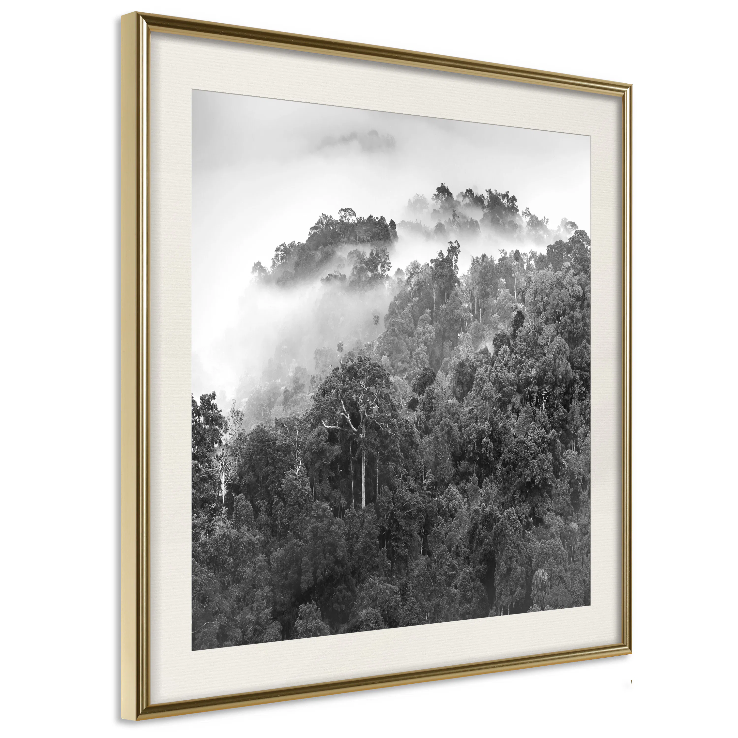 Poster Artgeist Affisch Rainforest