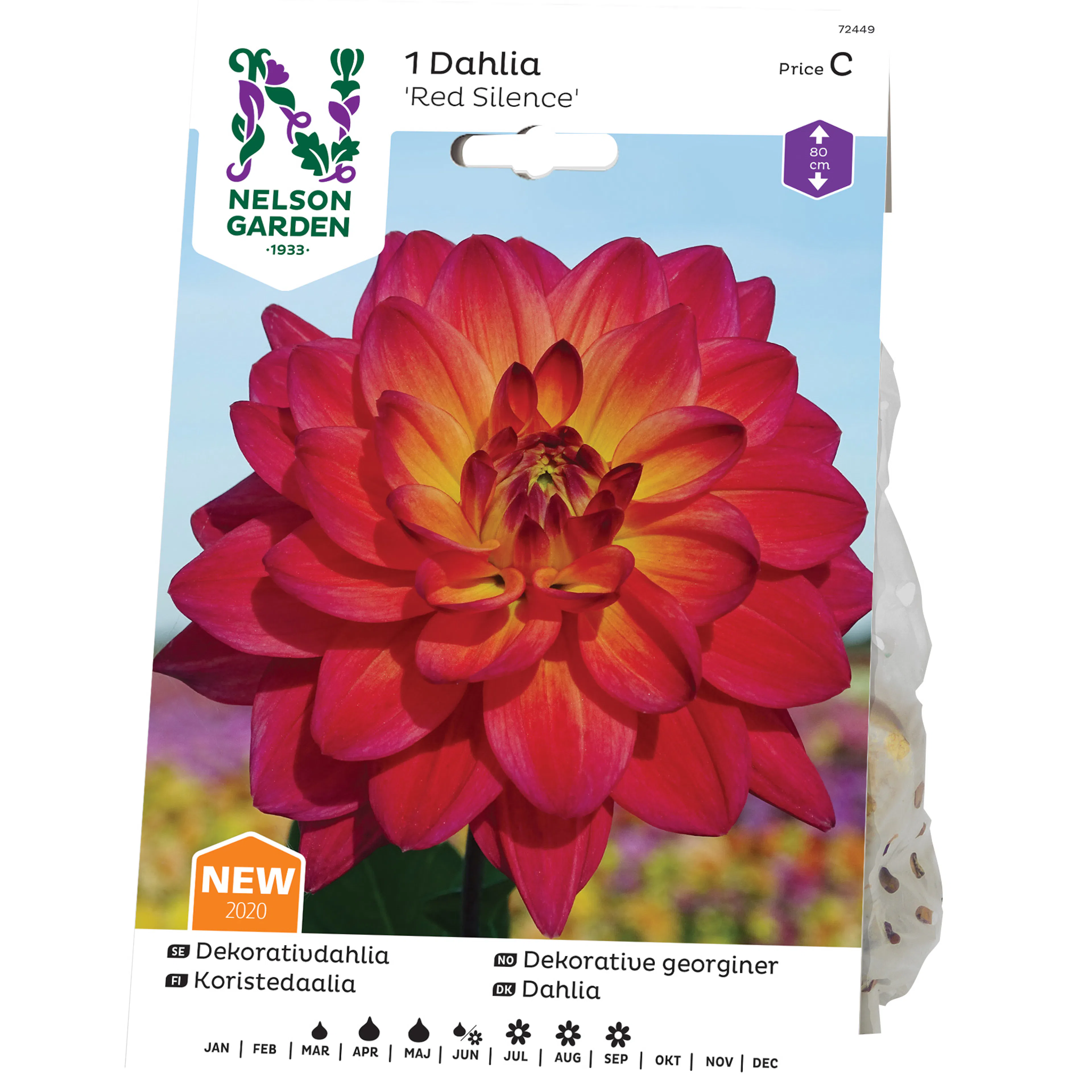 Dekorativdahlia Nelson Garden Red Silence