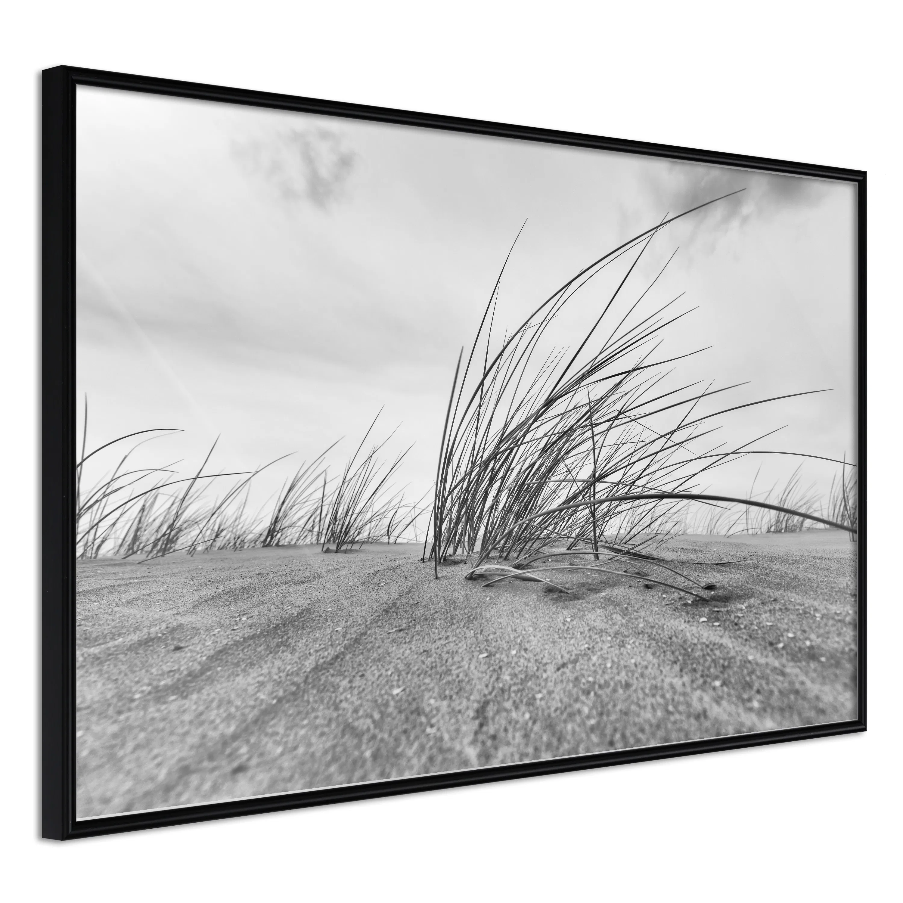 Poster Artgeist Affisch Seaside Reed