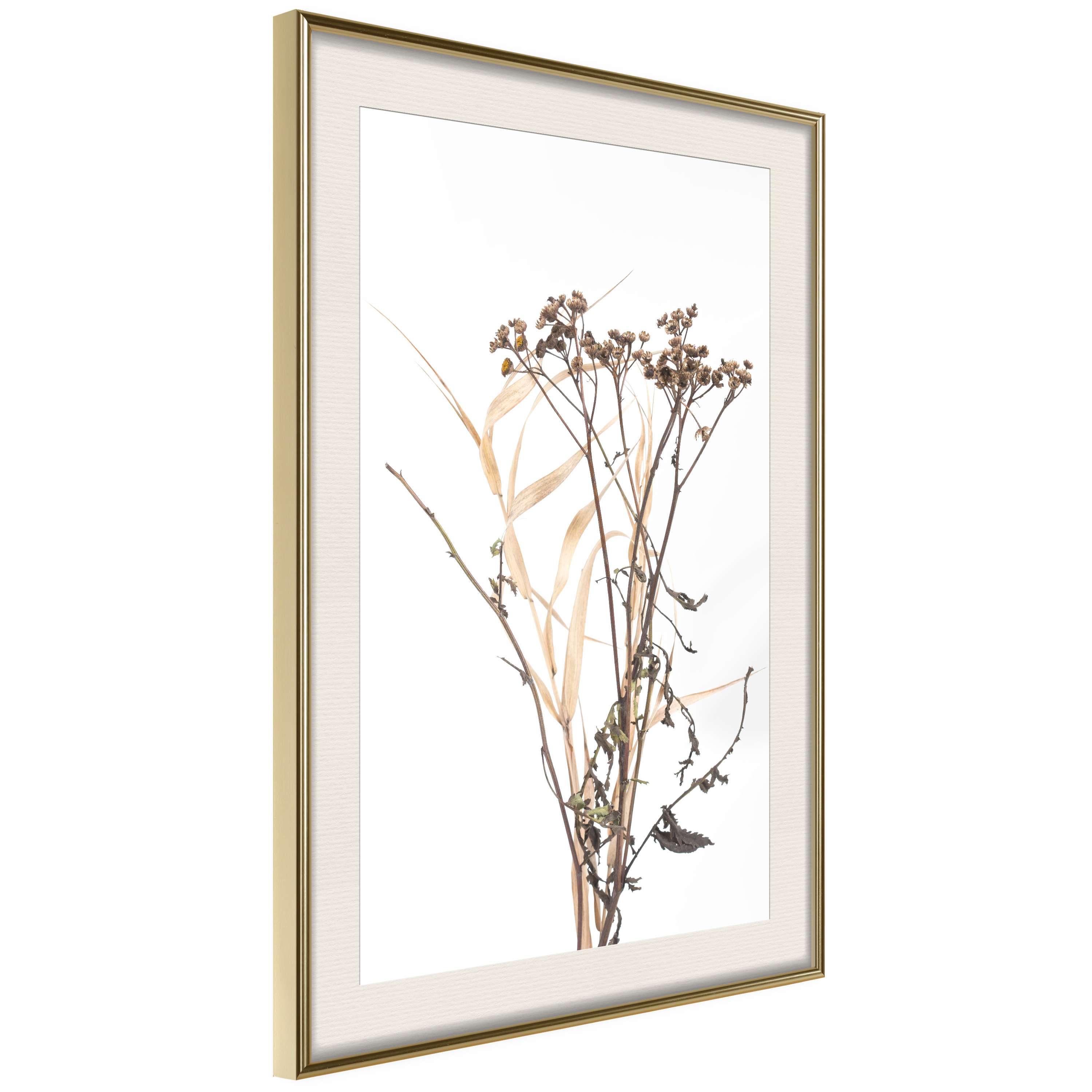 Poster Artgeist Affisch Camomile