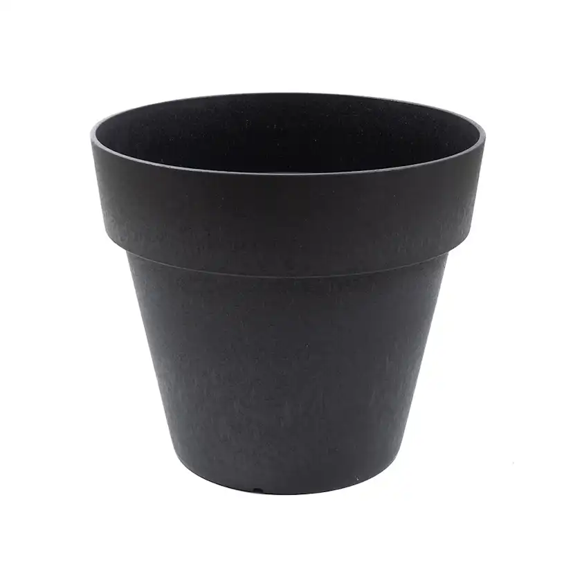 Blomkruka Recal Bariton