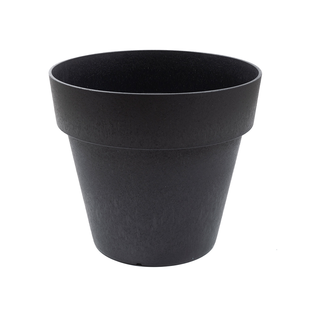 Blomkruka Recal Bariton