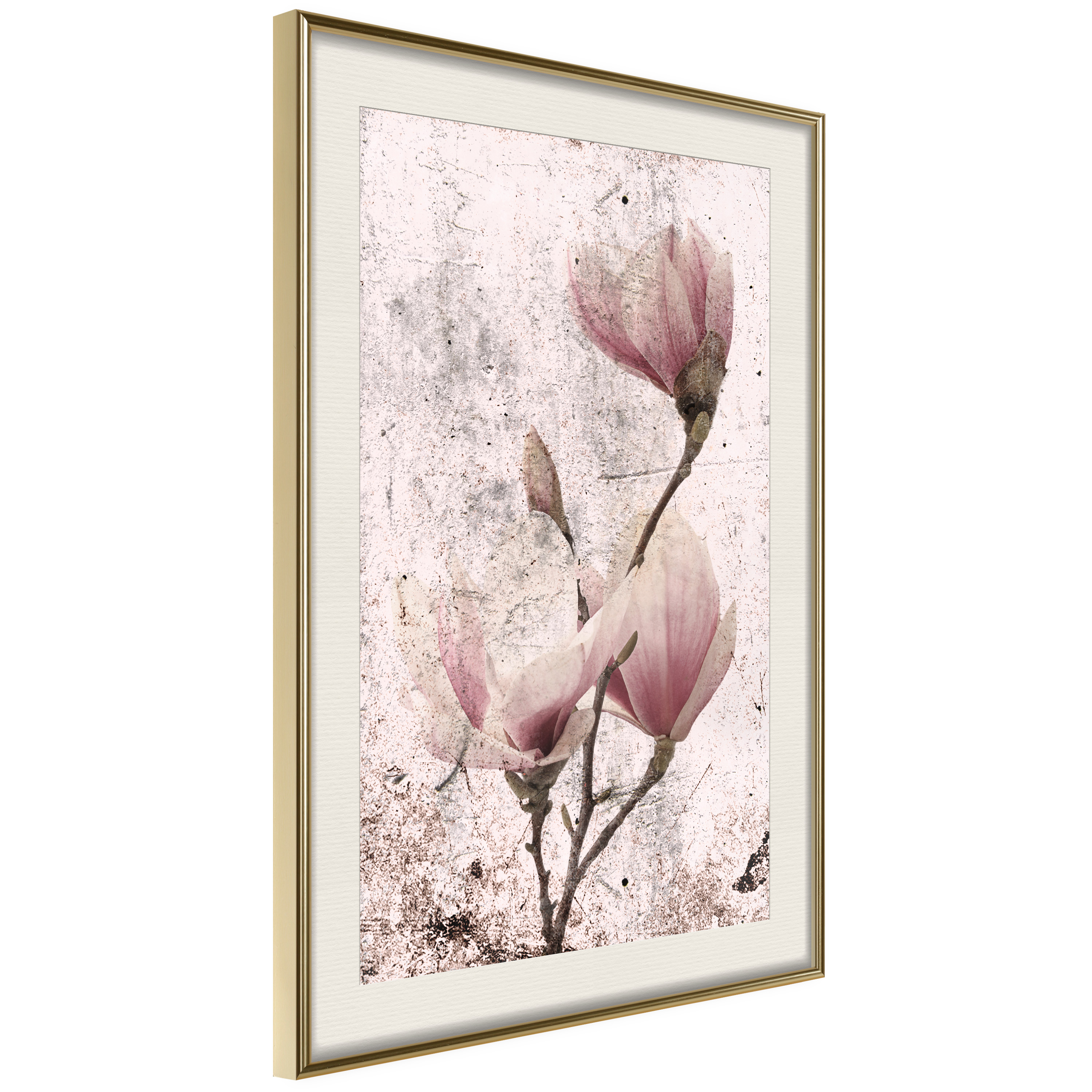 Poster Artgeist Affisch Mature Magnolia