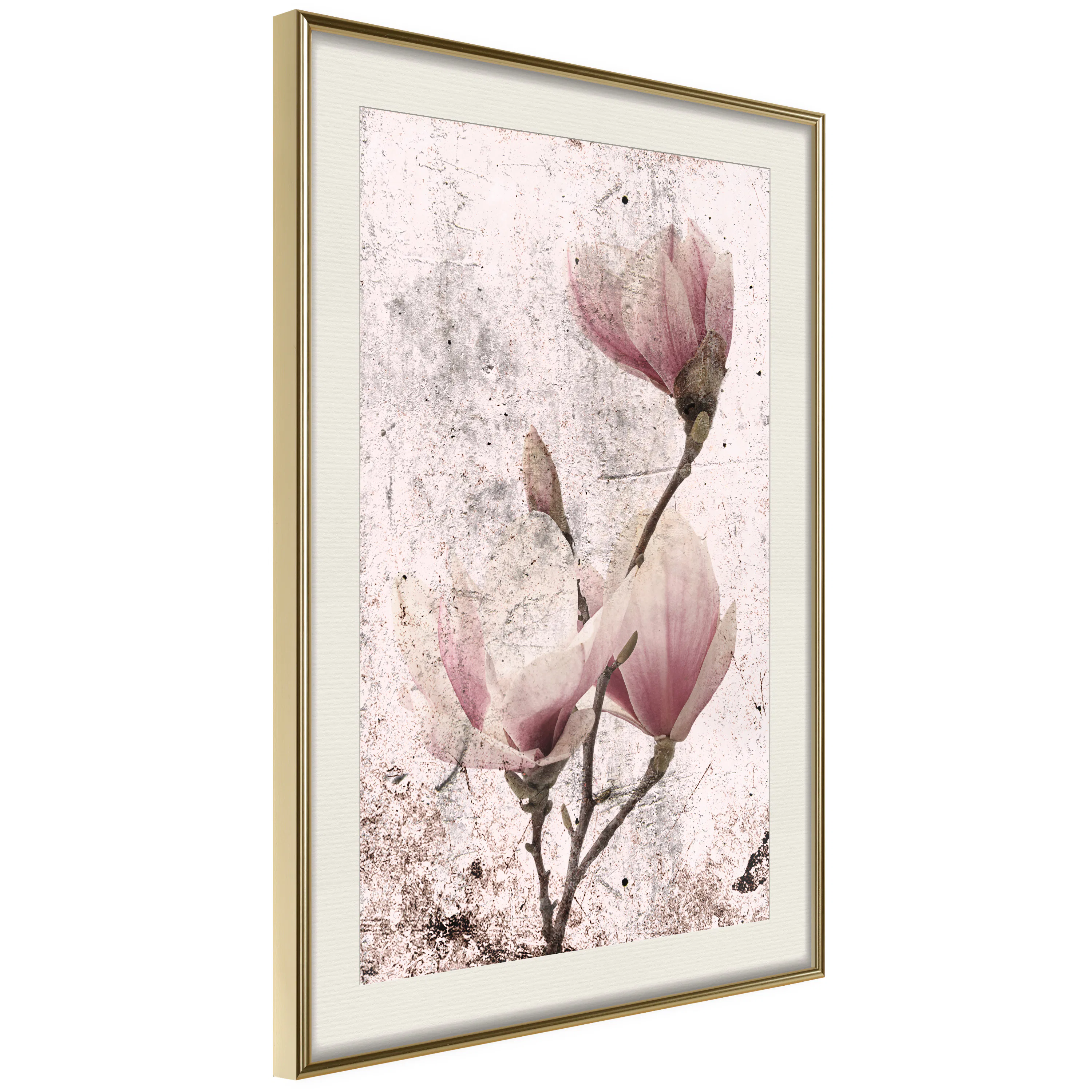 Poster Artgeist Affisch Mature Magnolia
