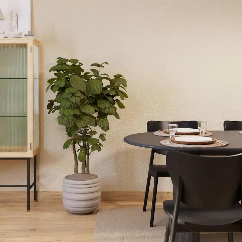 Matgrupp Bark Noira Matbord 220 med 6Jerup Matstol
