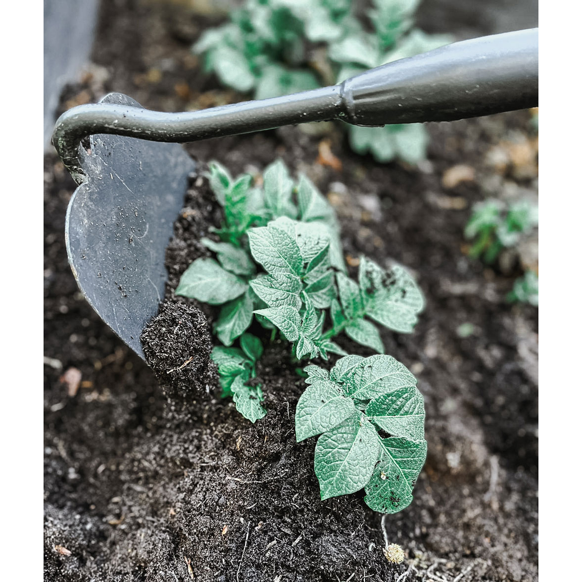 Kultivatorhacka by Benson Deluxe