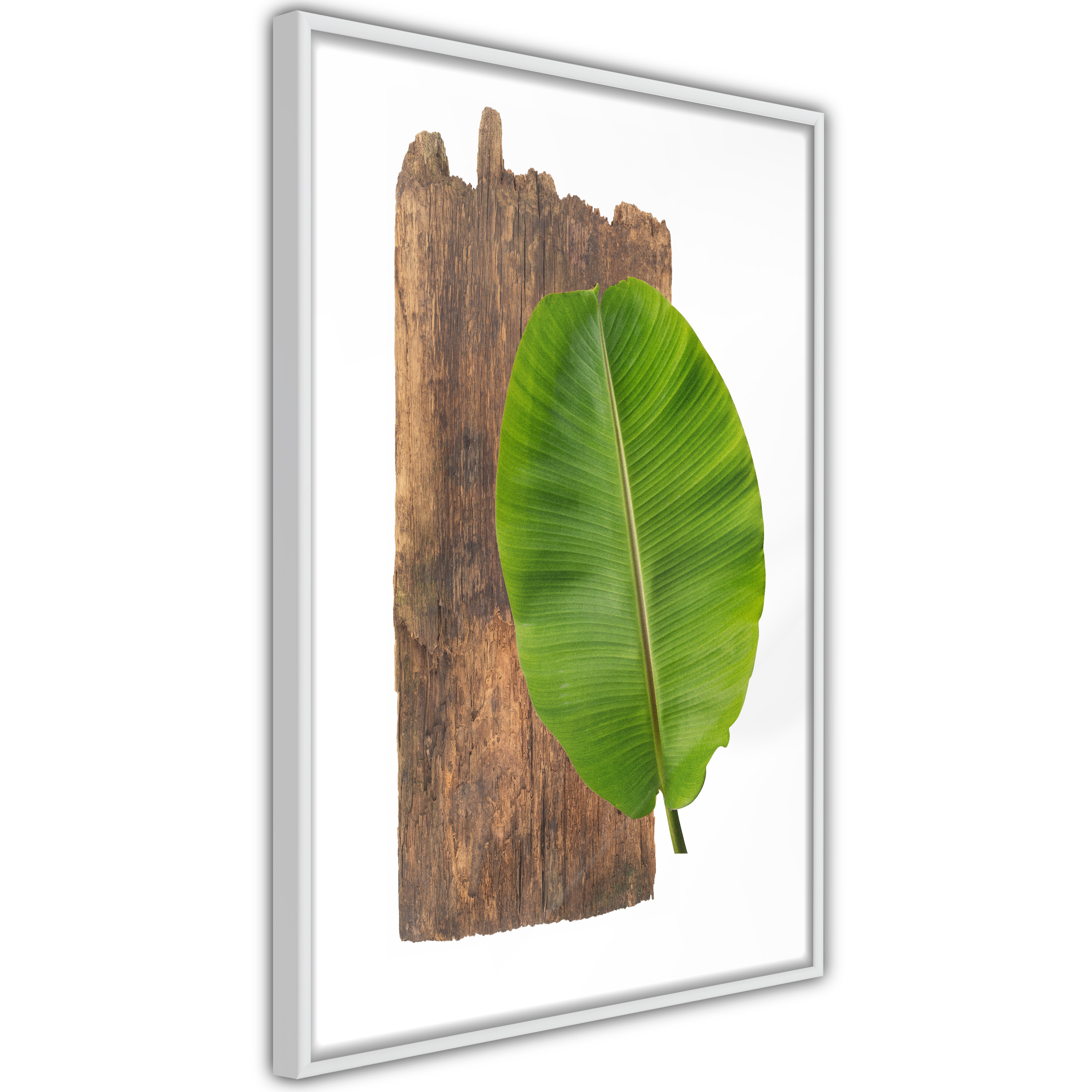Poster Artgeist Affisch Authority of Nature