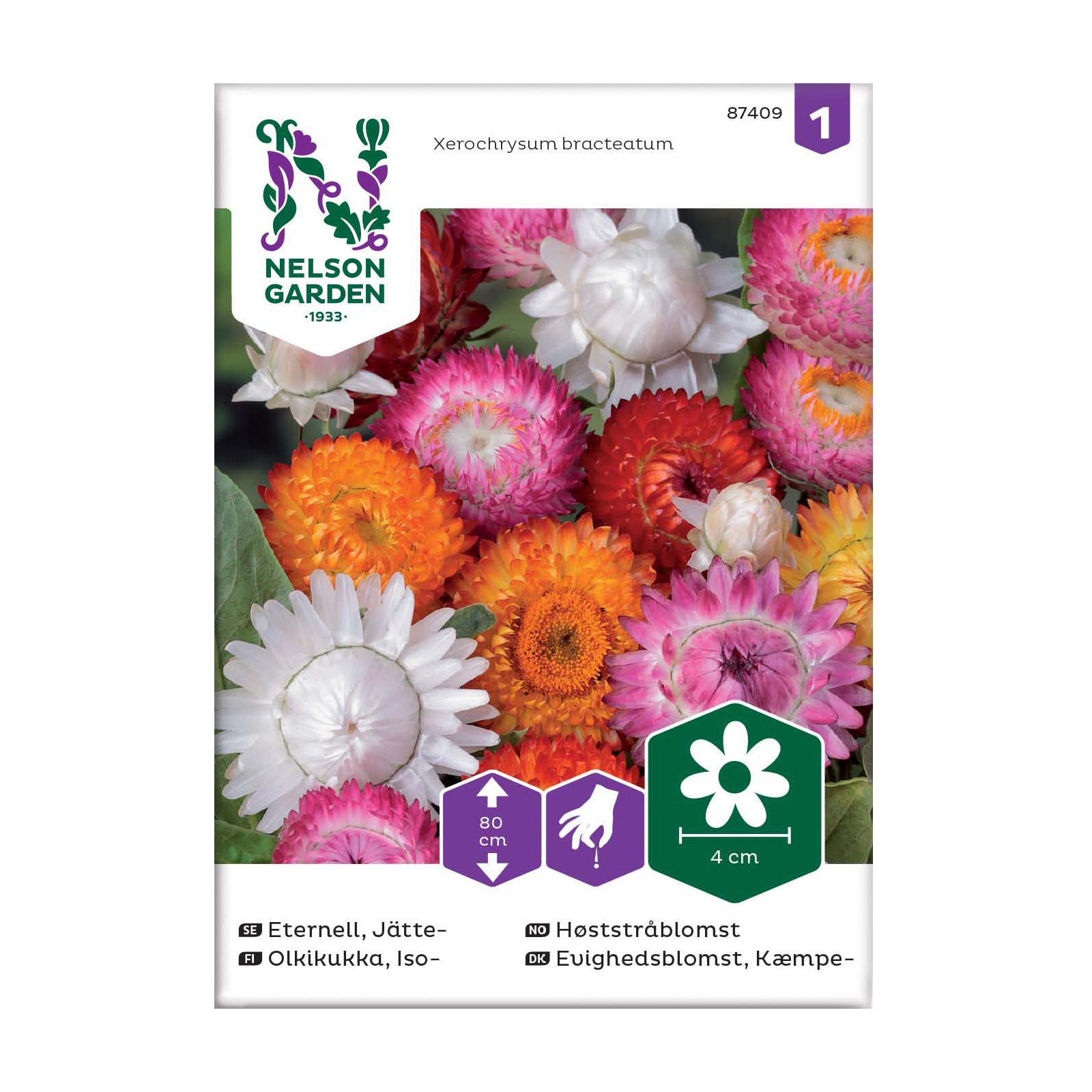 Frö Jätteeternell Nelson Garden Hög Mix