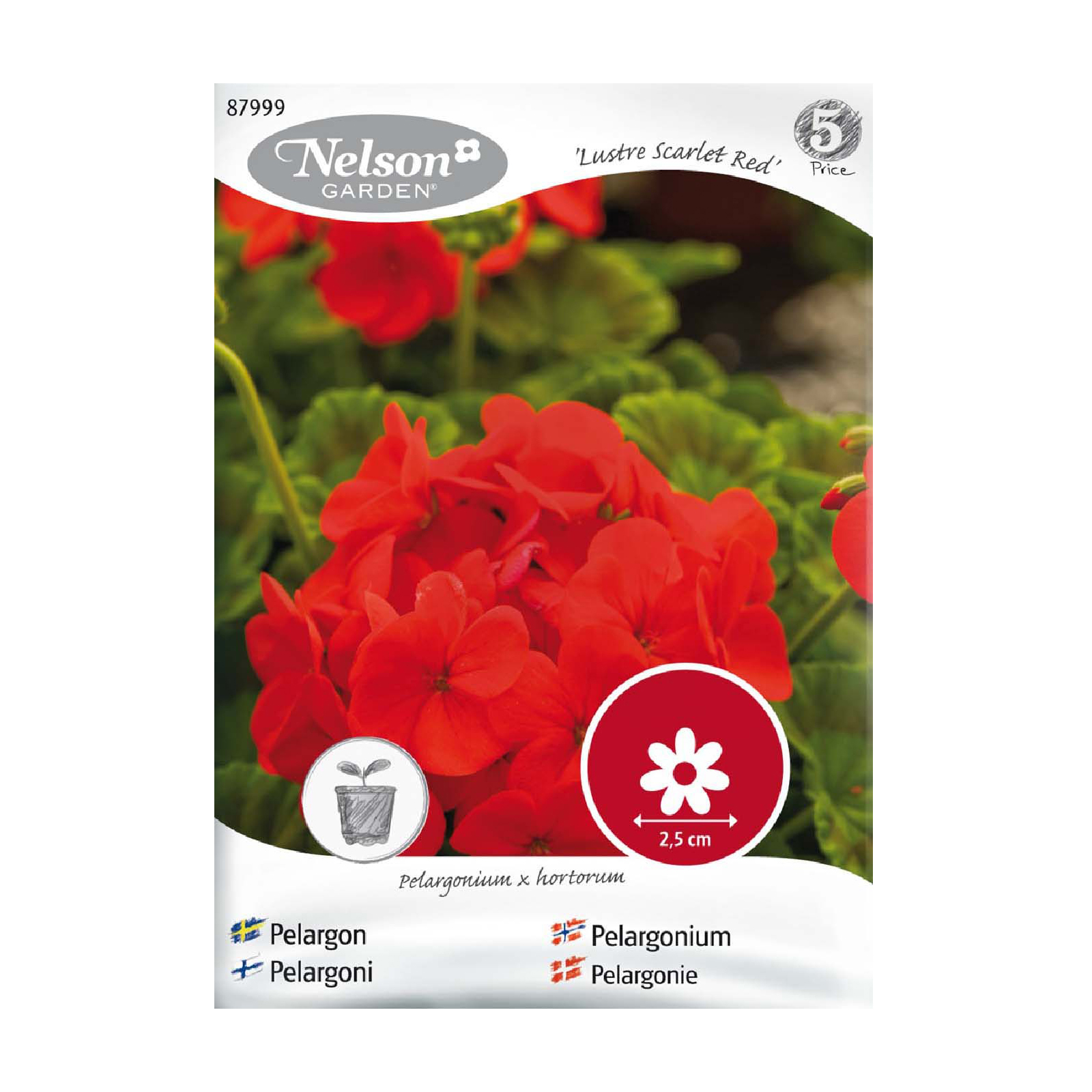Frö Pelargon Nelson Garden Lustre Scarlet Red