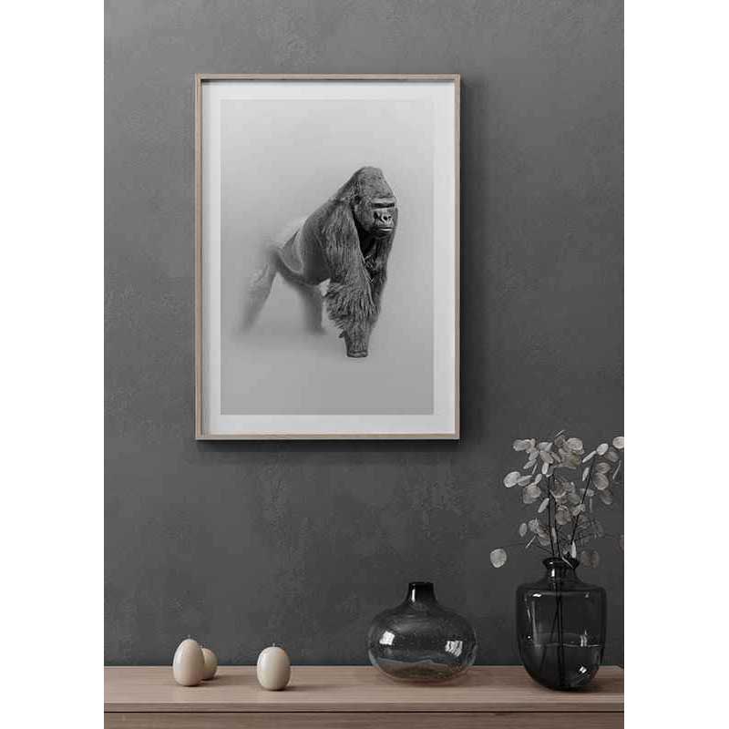 Poster Gallerix Faded Gorilla