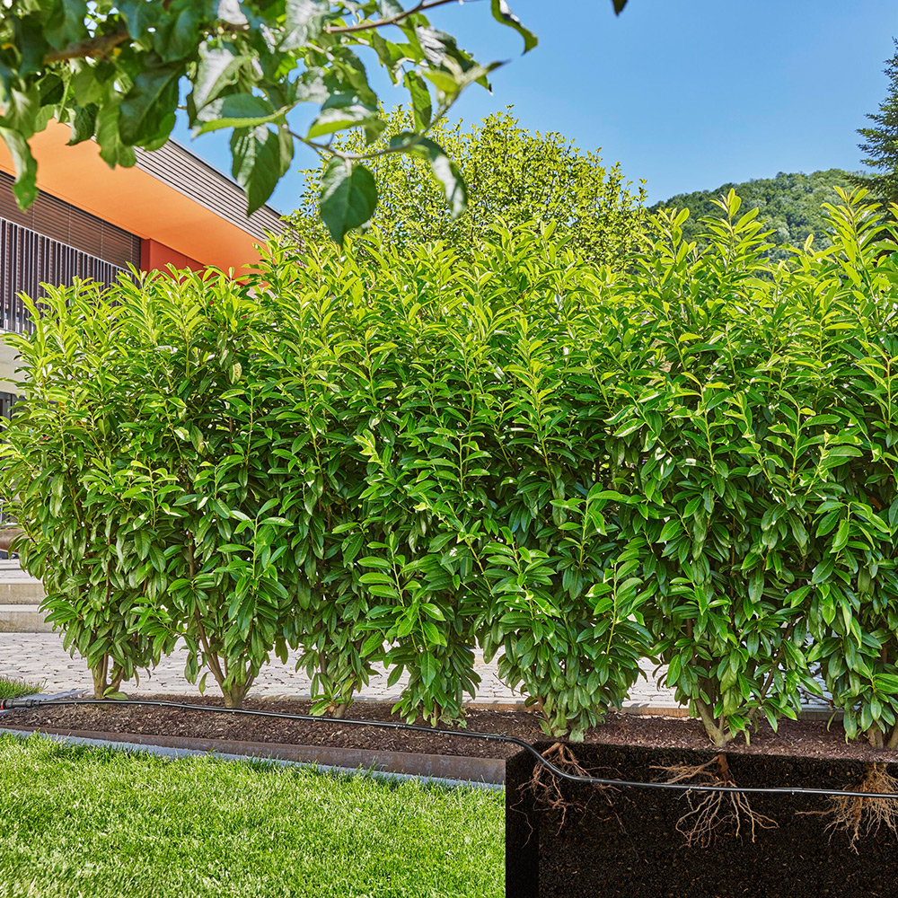 Droppslang Gardena Ovan och Under Jord 50 m