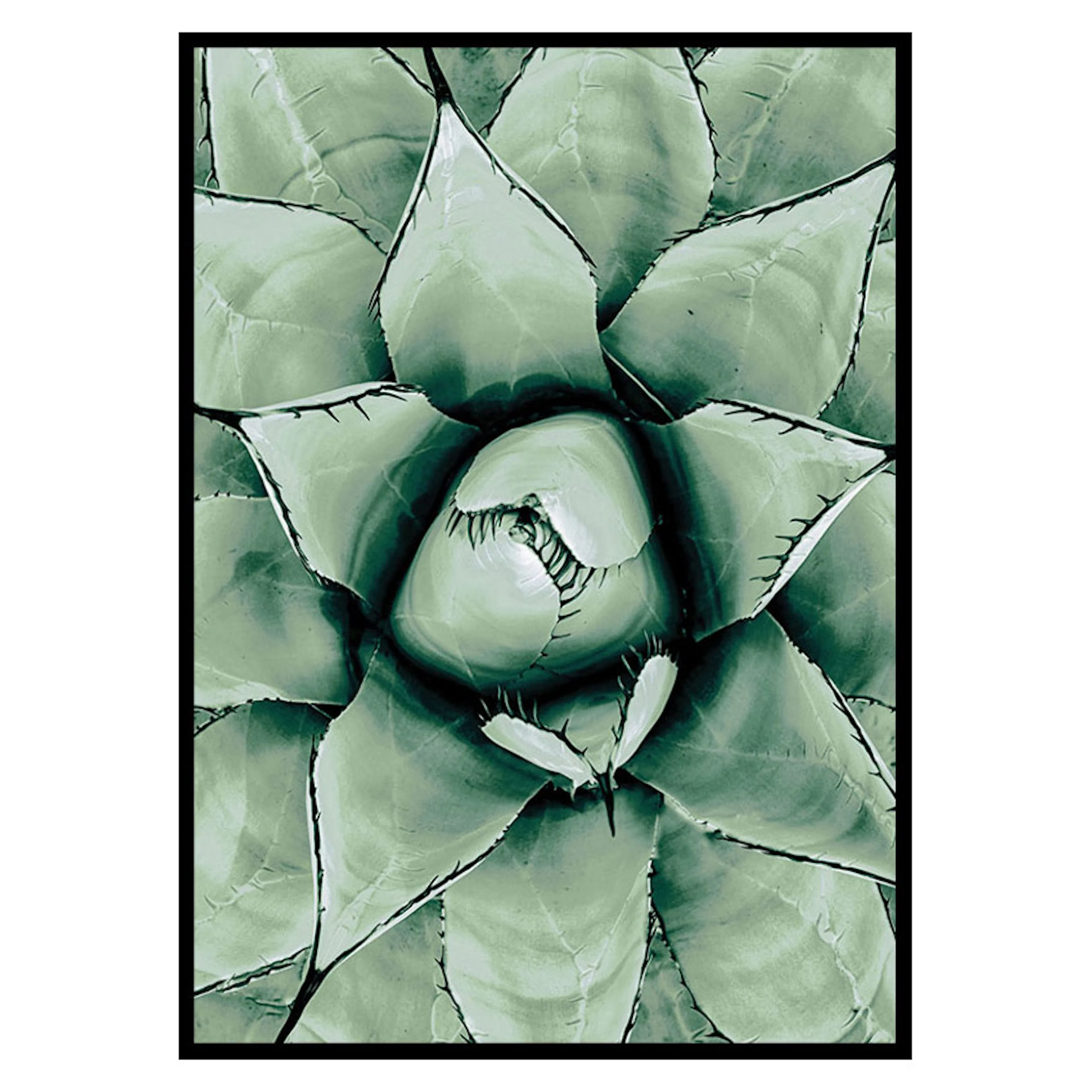 Poster Gallerix Agave Close Up No1