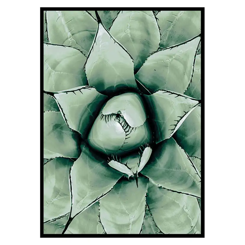 Poster Gallerix Agave Close Up No1
