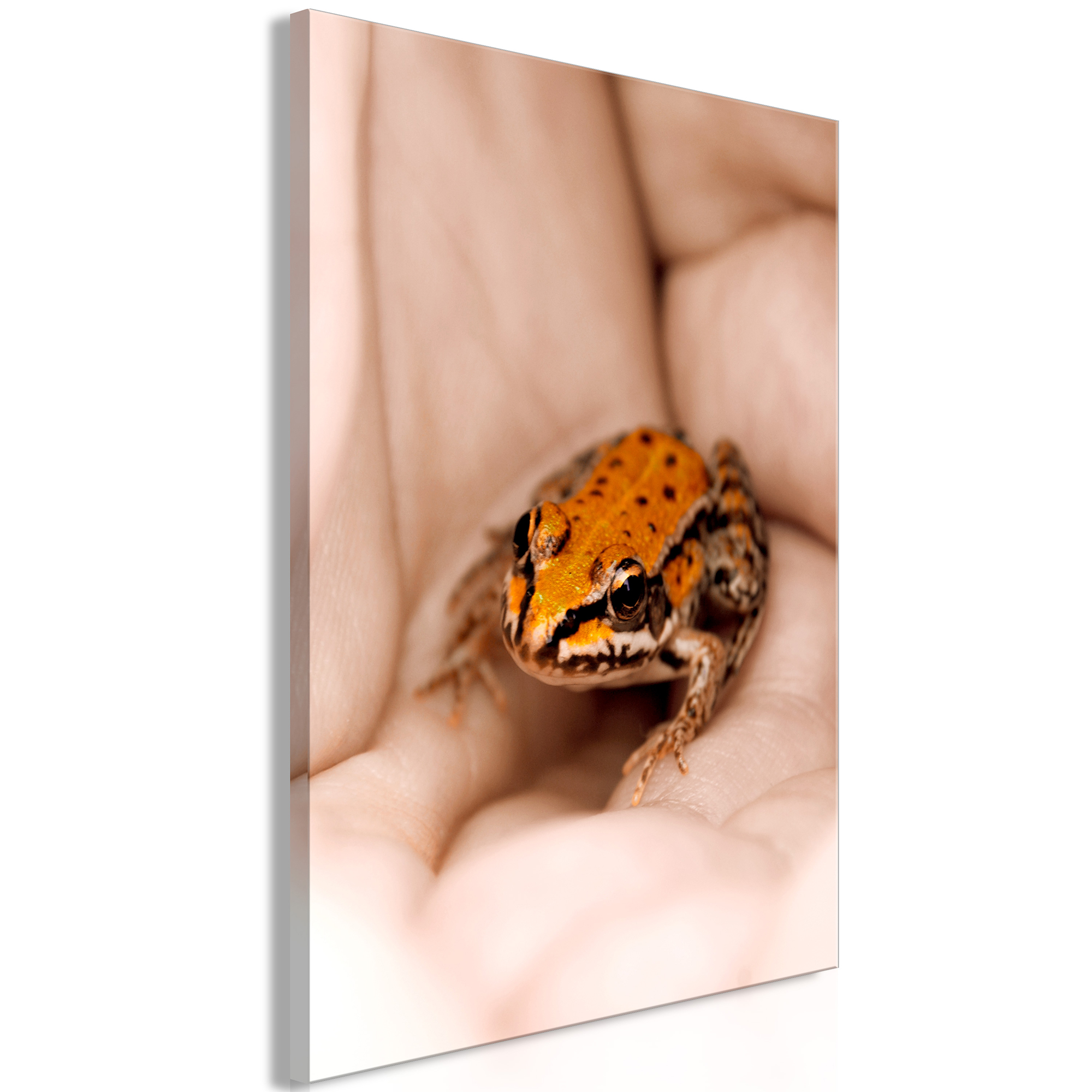 Tavla Arkiio Prosperous Life