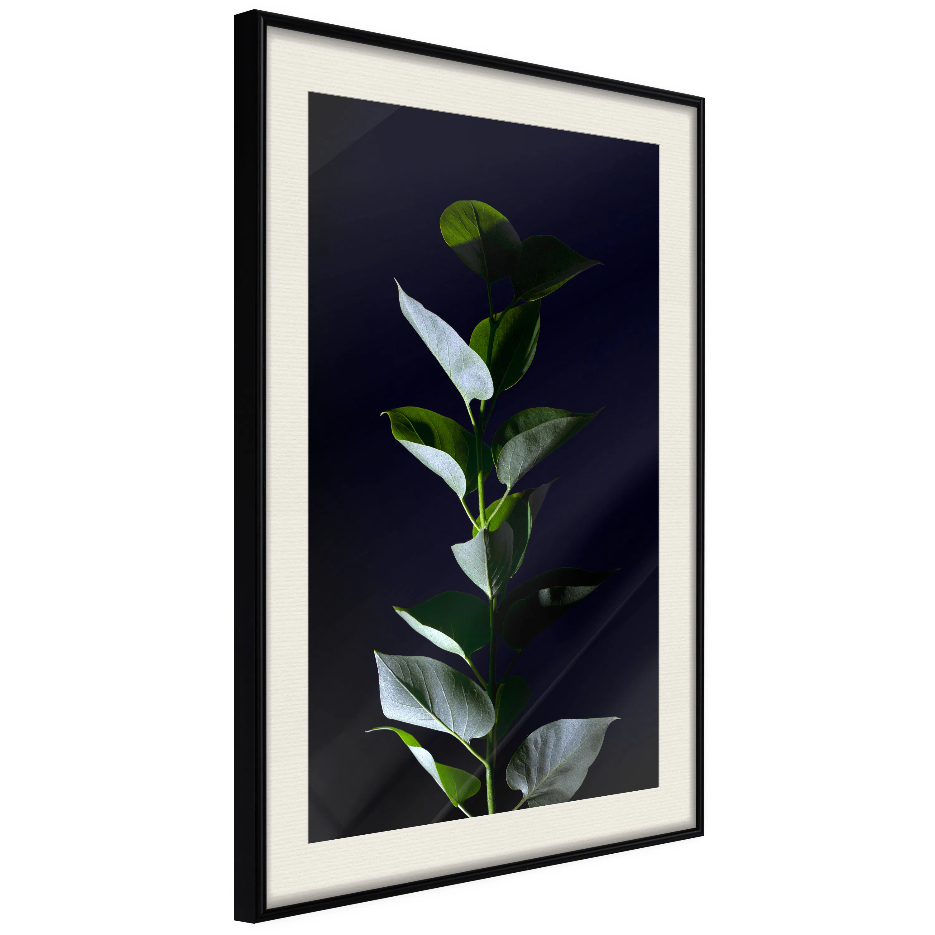 Poster Artgeist Affisch In the Moonlight