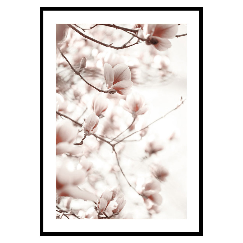 Poster Gallerix Pink Botanical Shades