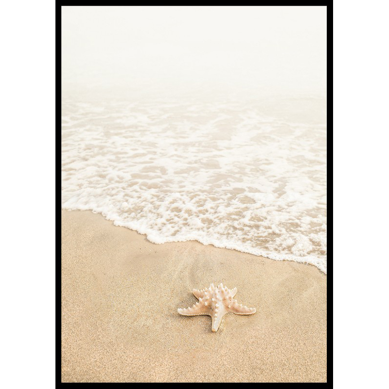 Poster Gallerix Shoreline Starfish
