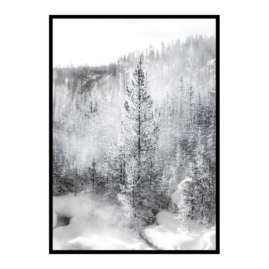 Poster Gallerix A Bright Winters Morning