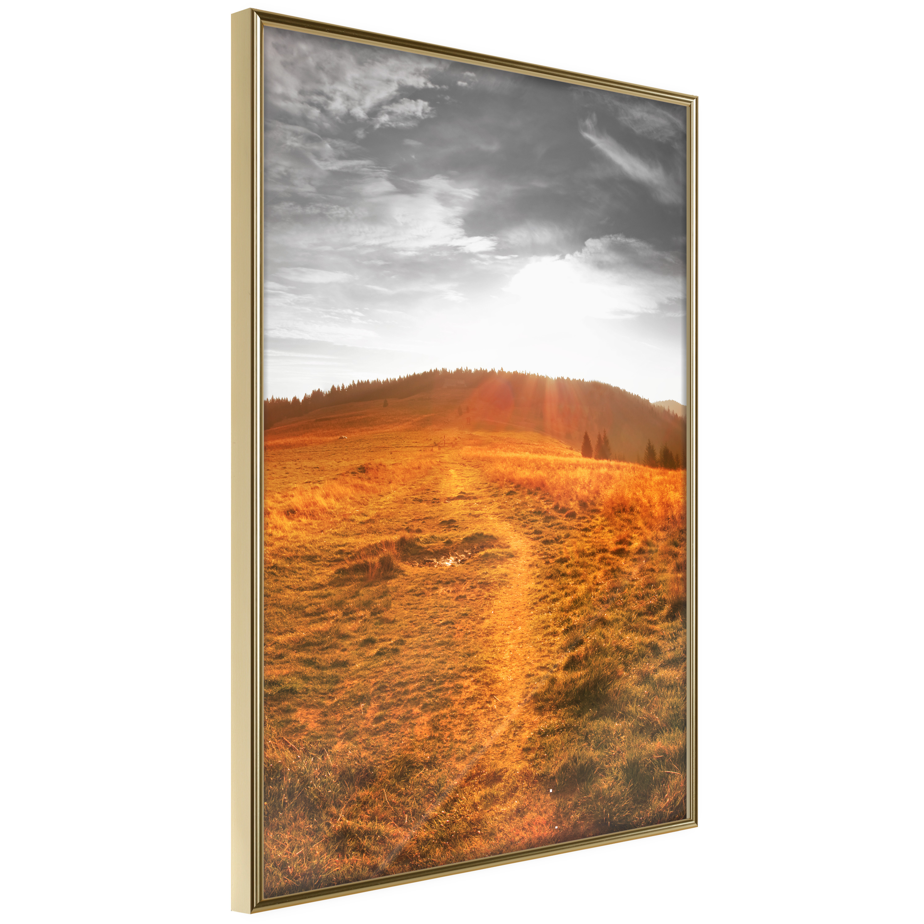 Affisch - Idyll [Poster] 40x60 Guld ram, 40x60 cm