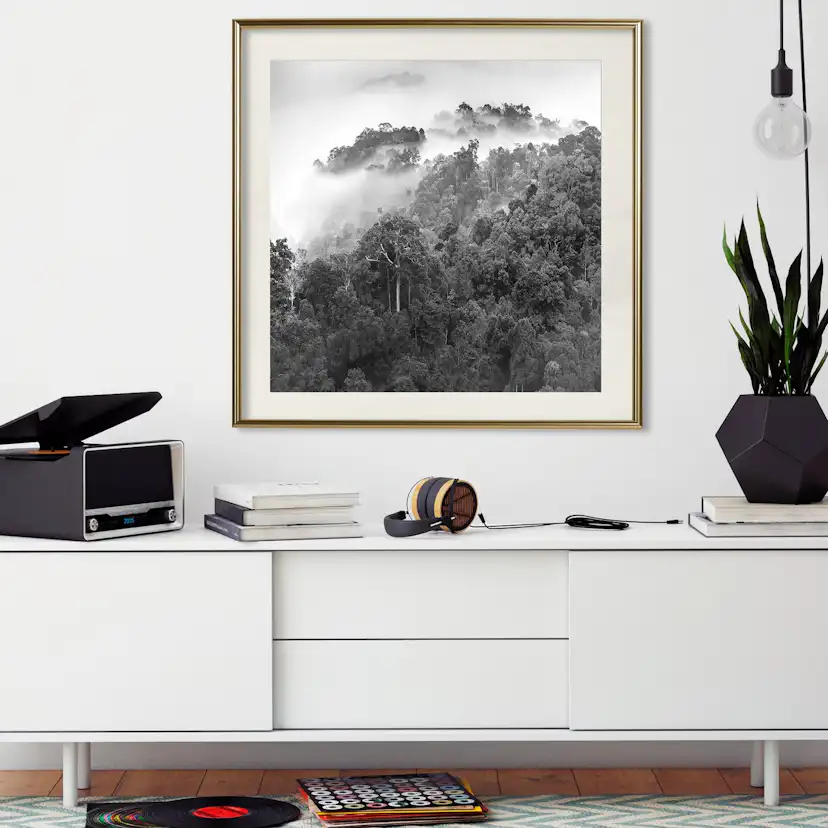 Poster Artgeist Affisch Rainforest