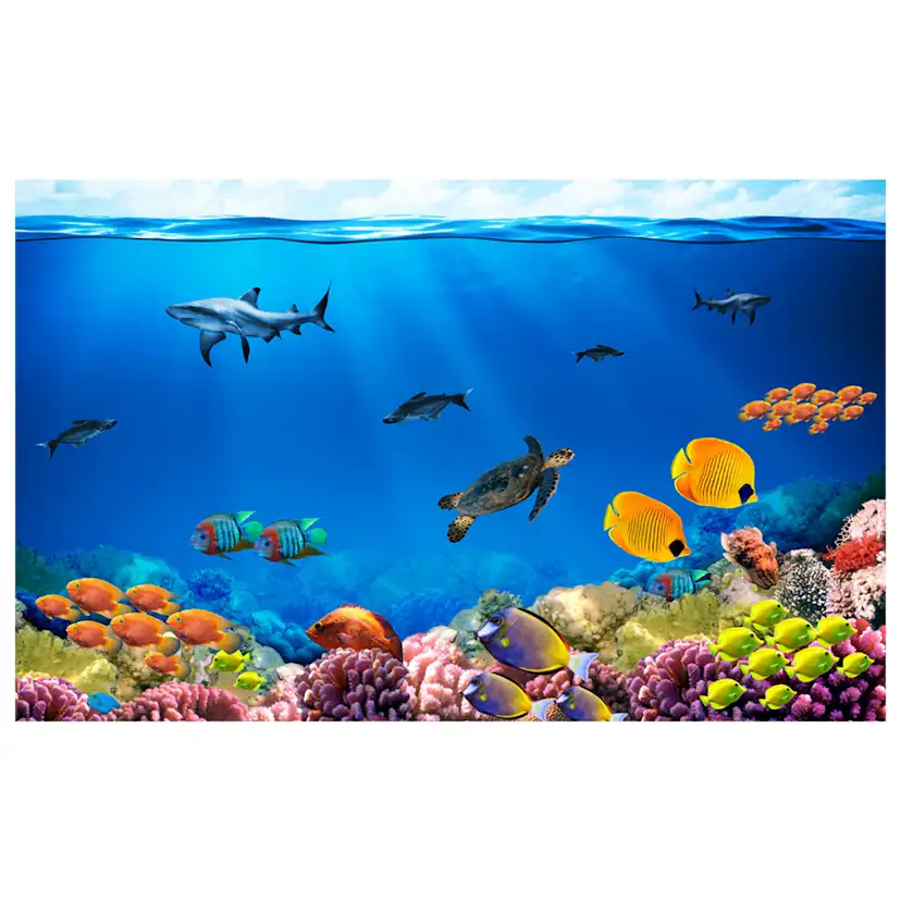 Fototapet Arkiio Självhäftande Underwater Kingdom