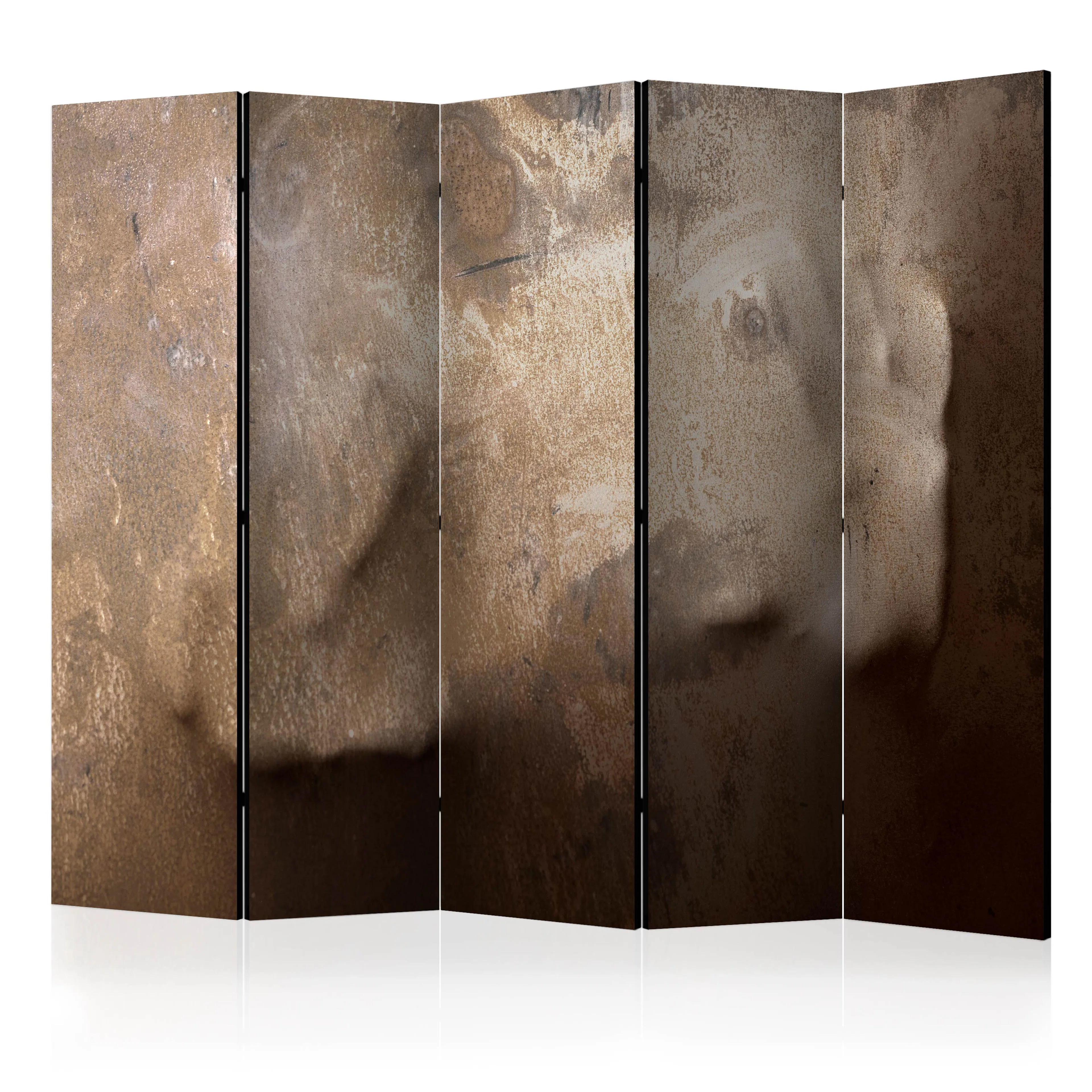 Rumsavdelare Skärmvägg Arkiio The warmth of your Hand II 225x172 cm