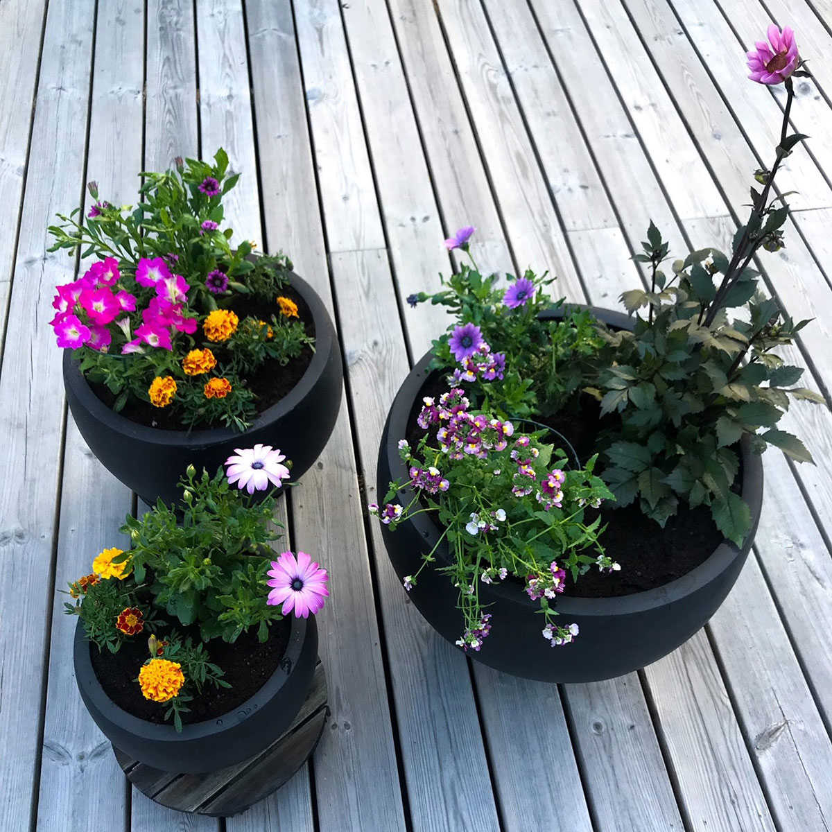 Kruka rund, svart 3-pack Färg Svart