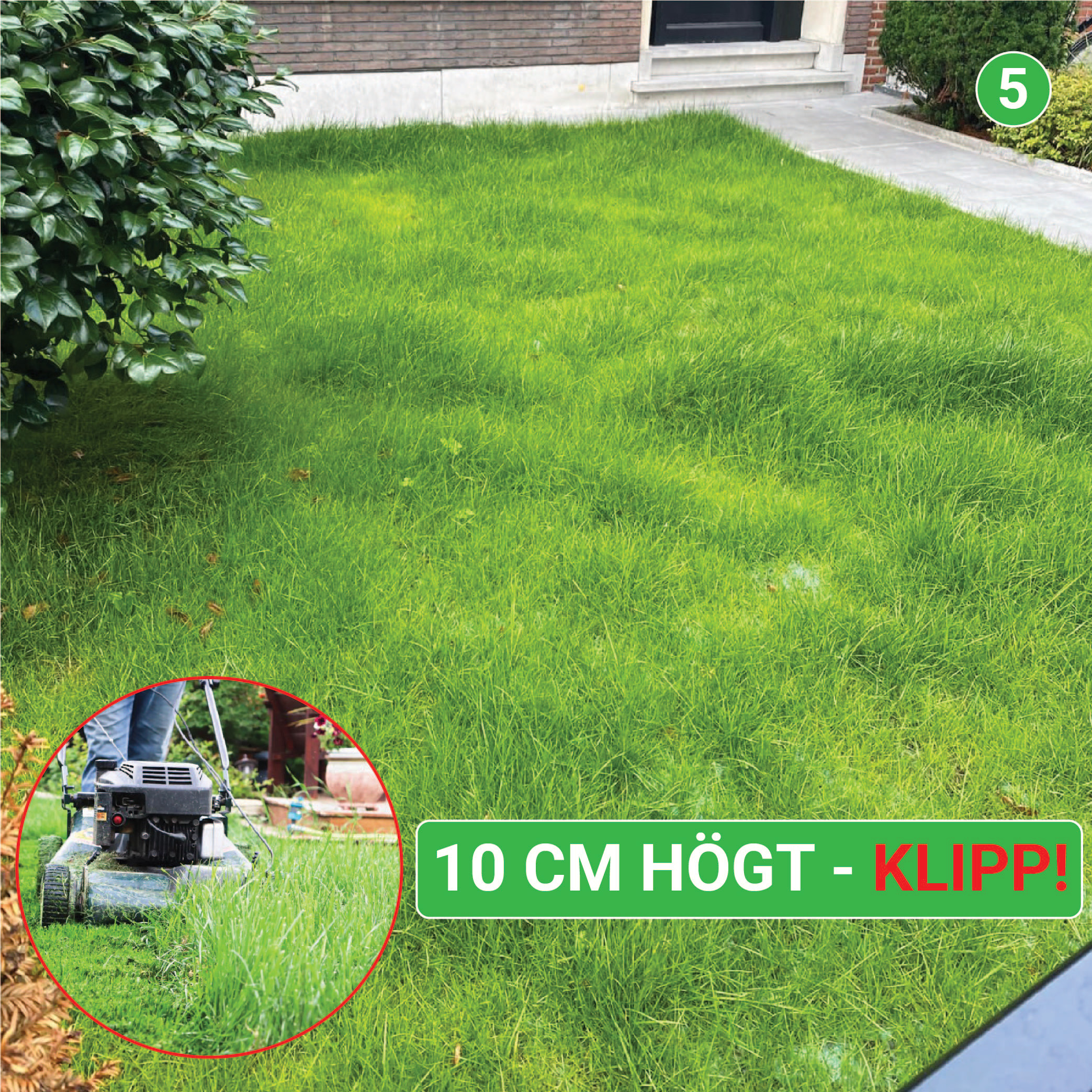 Trädgårdblommor Turfquick Blomfröer Blomsteräng Turfquick Fjäril & Humla 5 kvm