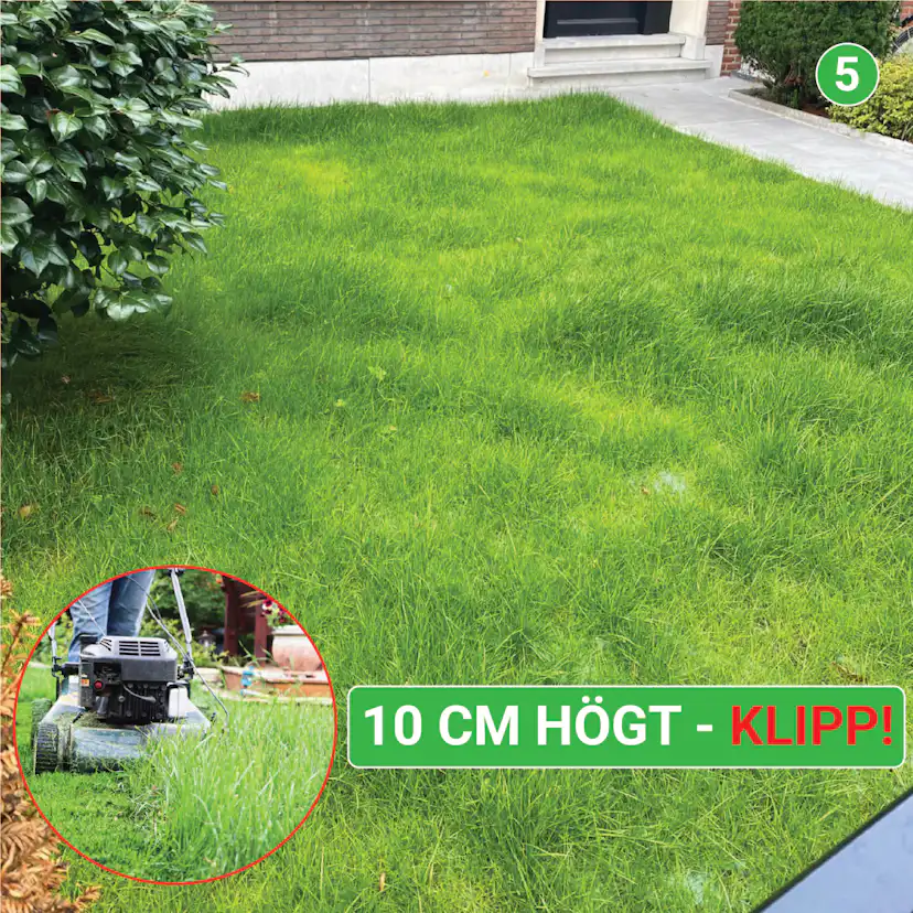 Gräsmatta Turfquick Skugga