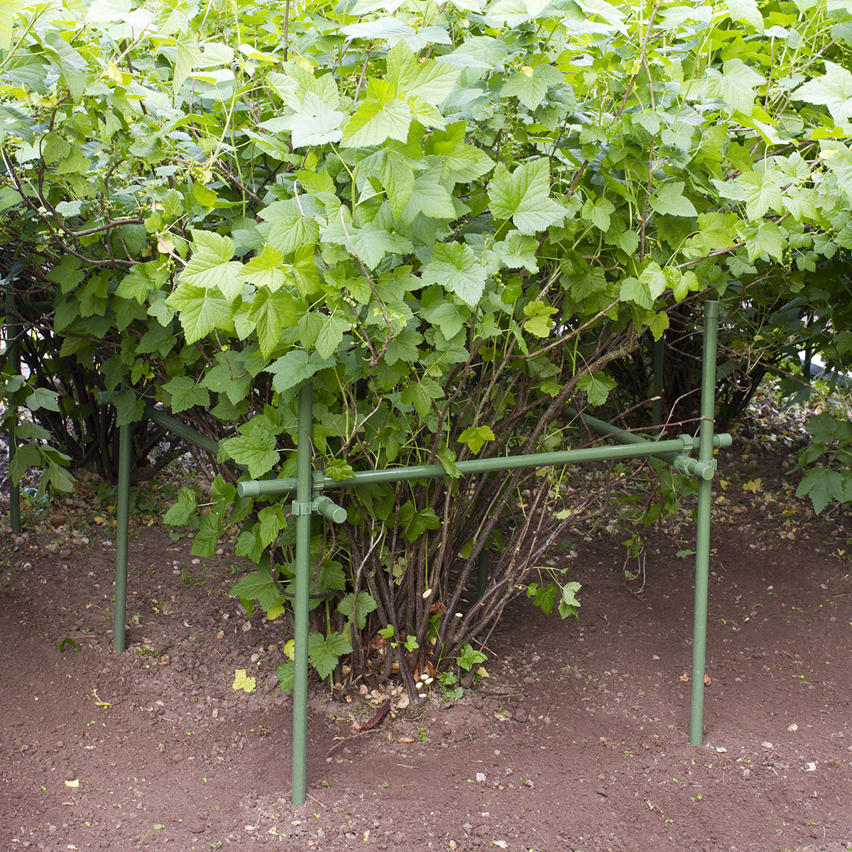 Buskstöd Flexigarden