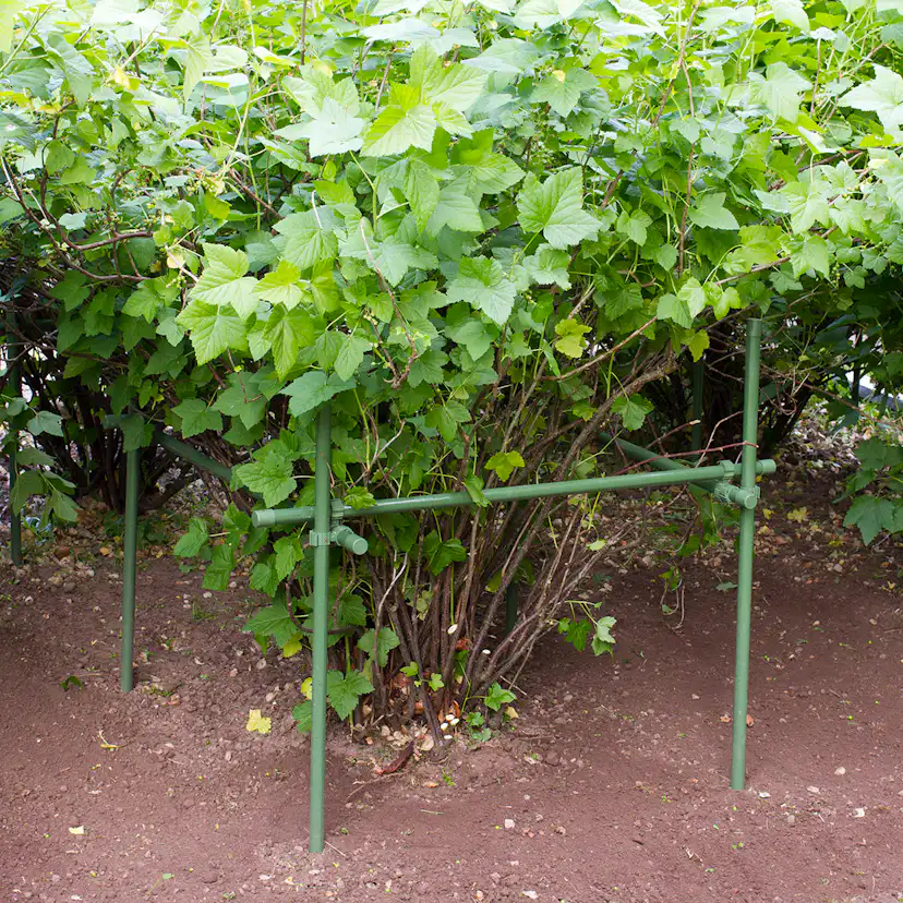 Buskstöd Flexigarden