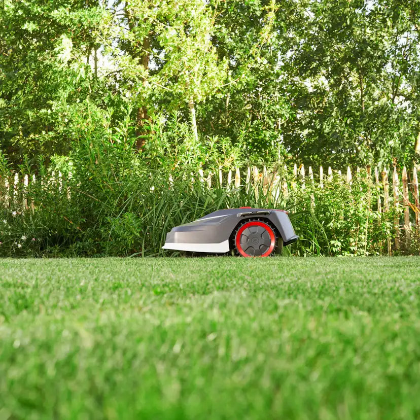 Robotgräsklippare AL-KO Robolinho 550 W