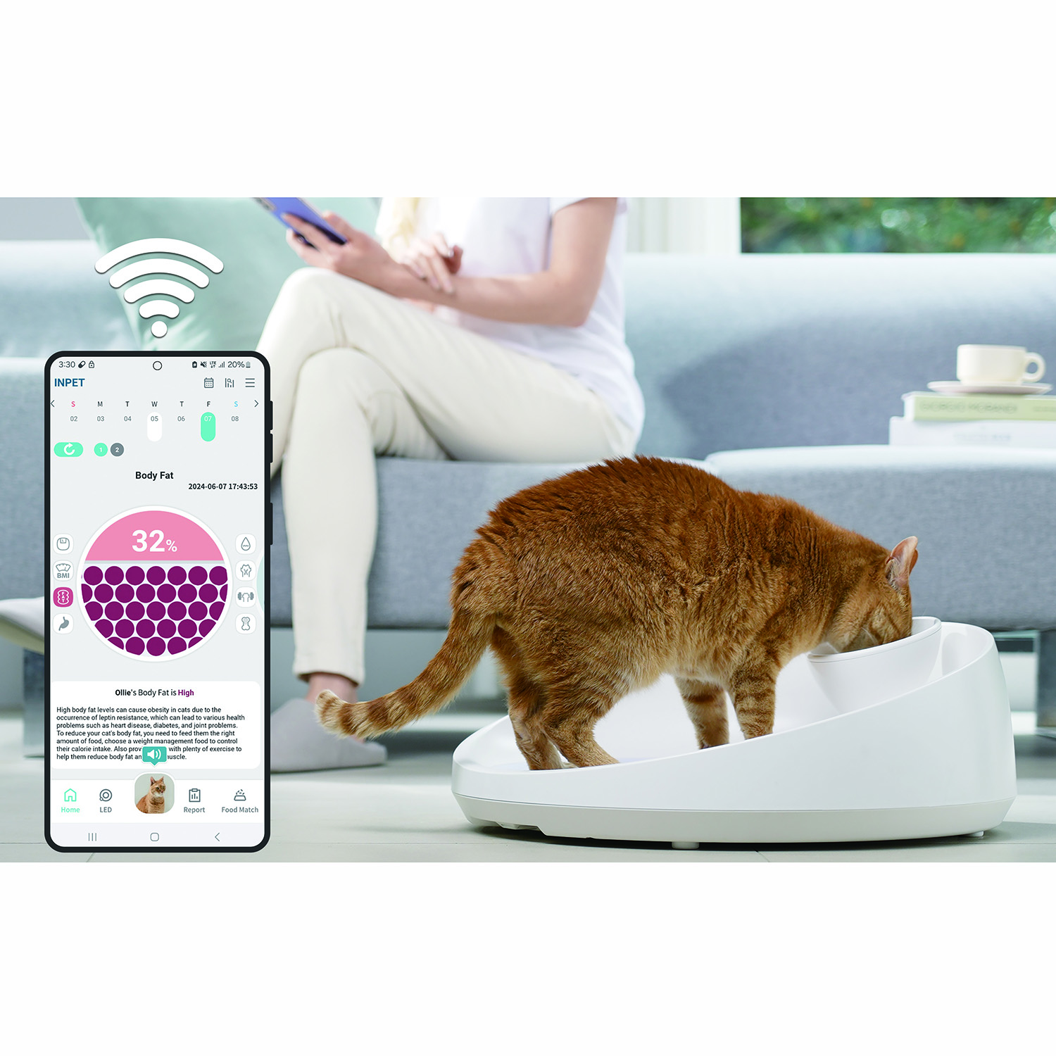 Kattvåg Våg Inpet CV1