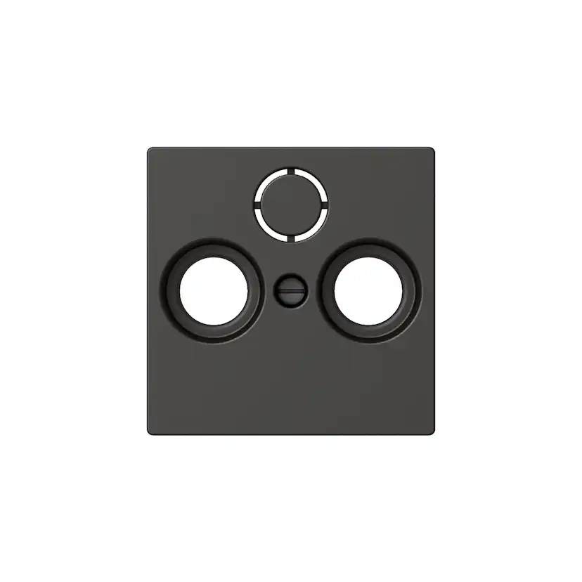 Centrumplatta Schneider Electric Exxact Antennuttag