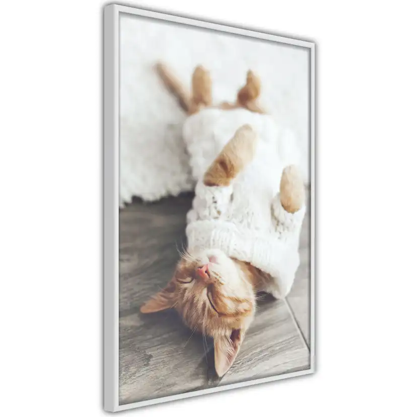 Poster Artgeist Affisch Lazy Cat