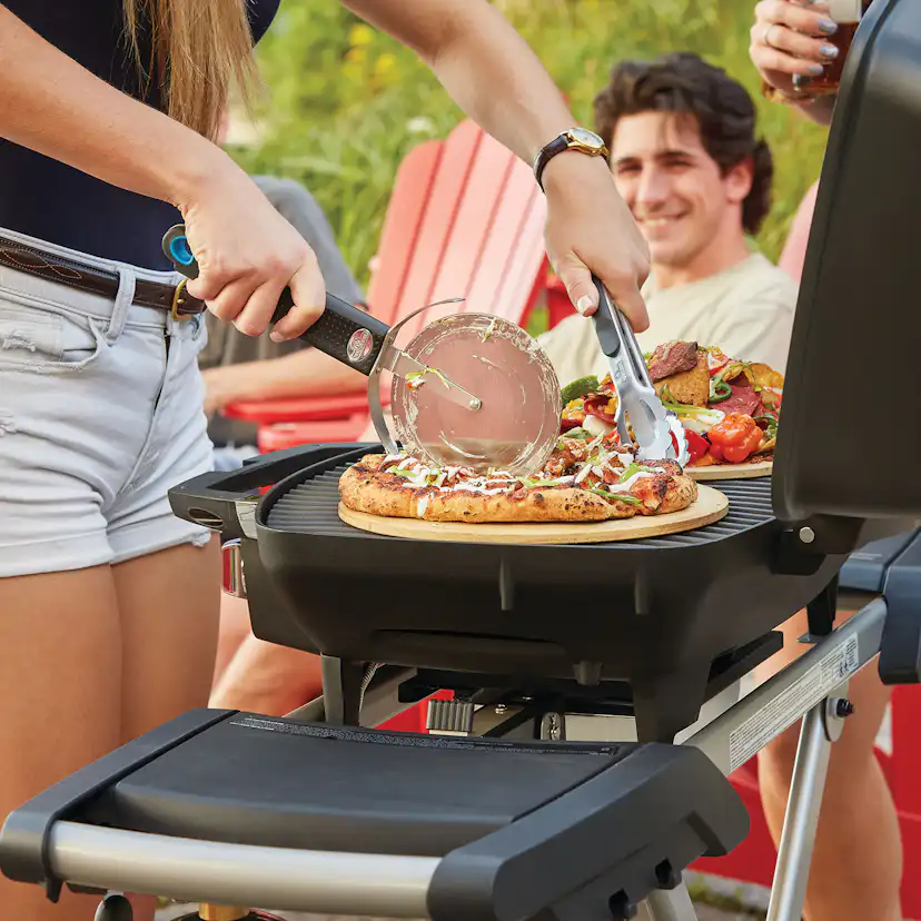Gasolgrill Napoleon PRO285-X Bärbar Grill med 2 Brännare & Gjutjärnsgaller