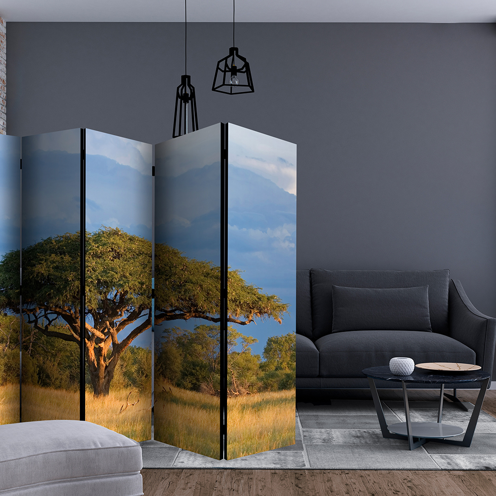 Rumsavdelare Skärmvägg Arkiio African Acacia Tree Hwange National Park Zimbabwe II 225x172 cm