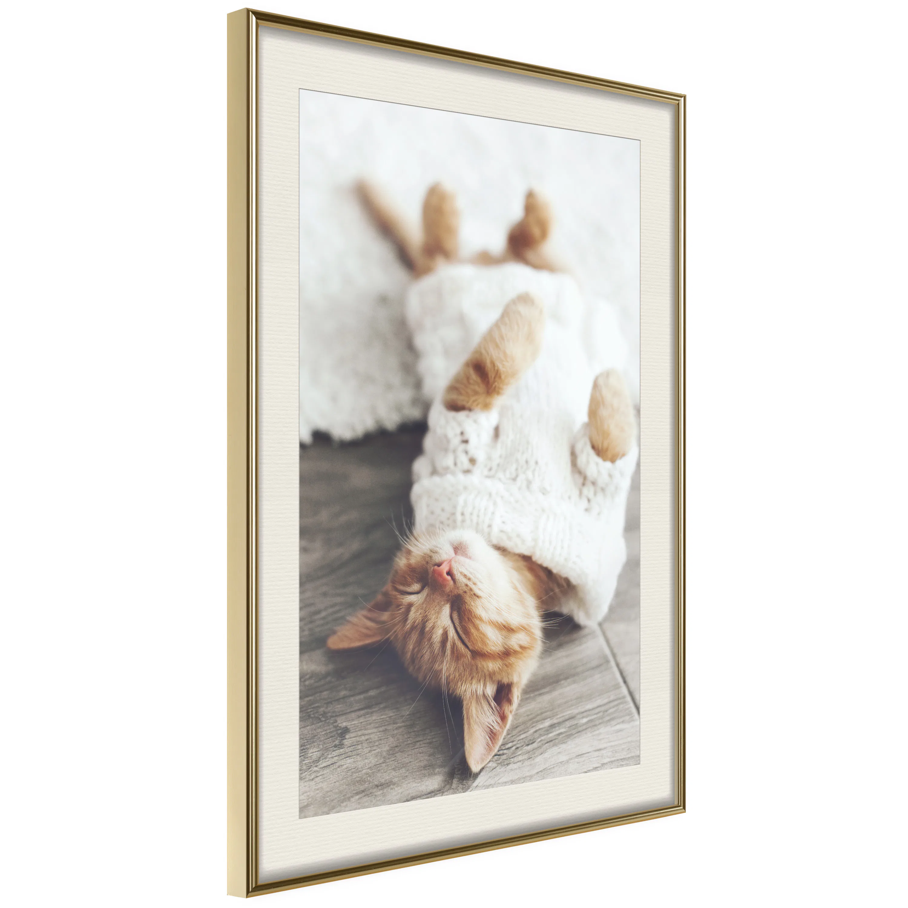 Poster Artgeist Affisch Lazy Cat