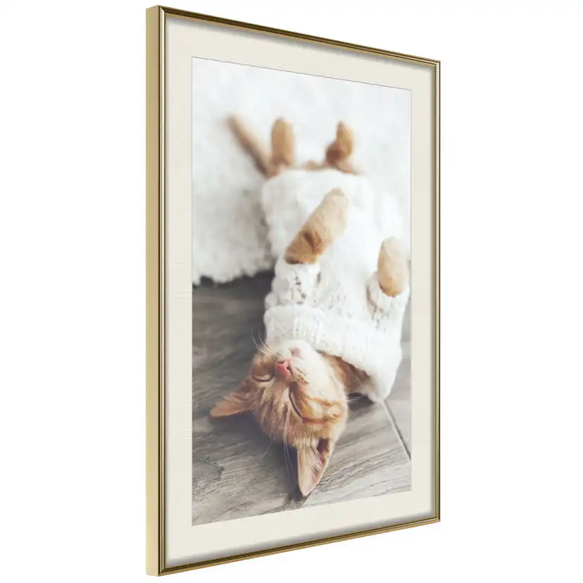 Poster Artgeist Affisch Lazy Cat