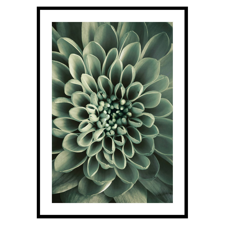 Poster Gallerix Green Petals