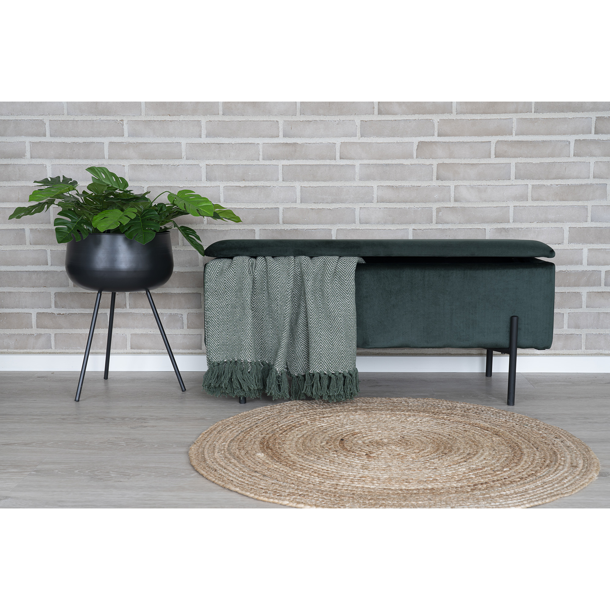 Konstväxt House Nordic Monstera