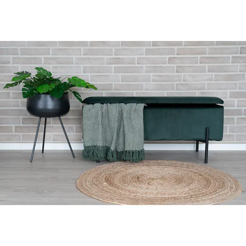 Konstväxt House Nordic Monstera