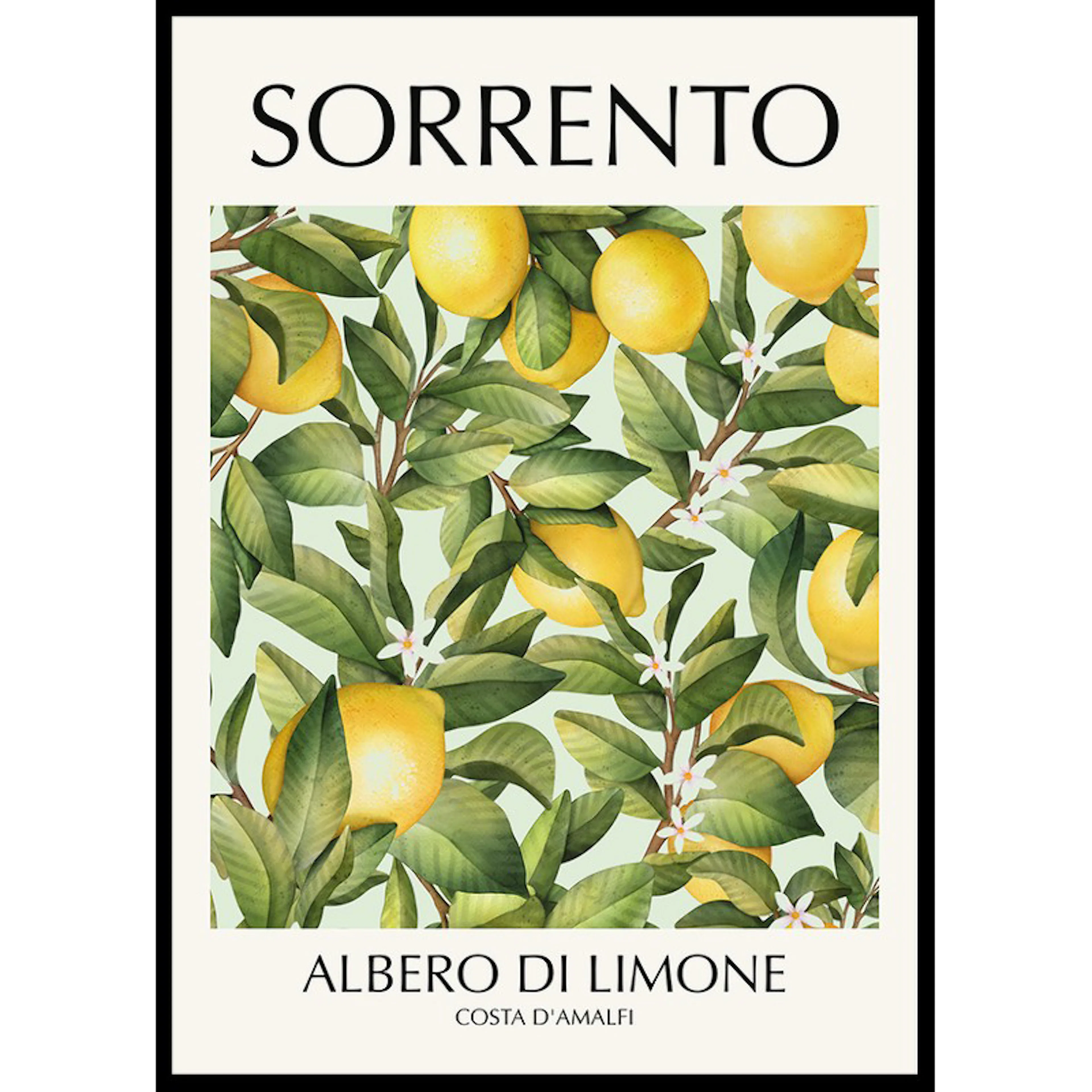 Sorrento Albero Di Limone 30x40 30x40 cm