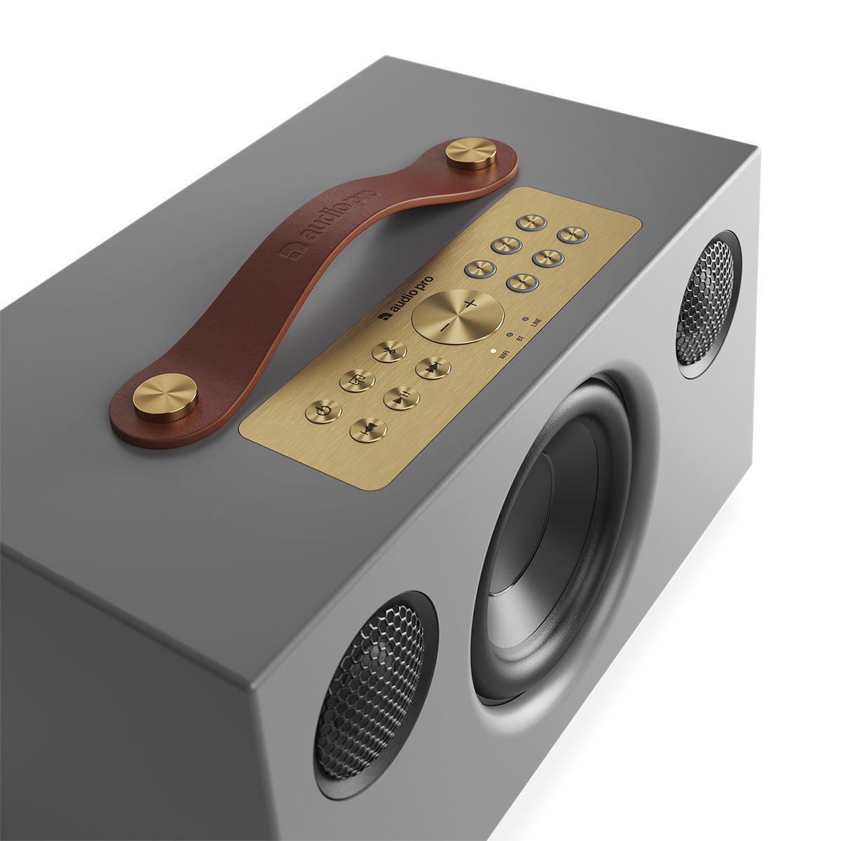 Högtalare Audio Pro C5 MK II