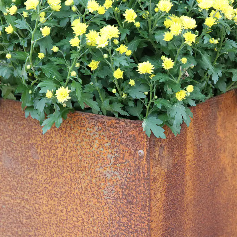 Ytterkruka Flexigarden Corten