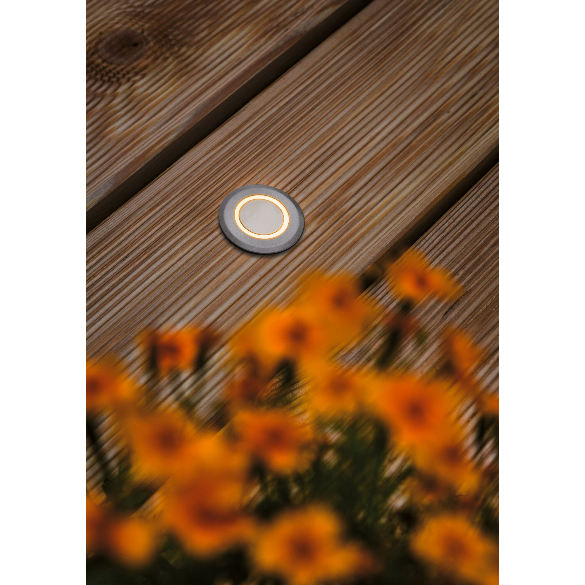 LED Infälld Markbelysning Paulmann House Stripe Rund IP67 230V Light: Gold Light (insektsvänlig)