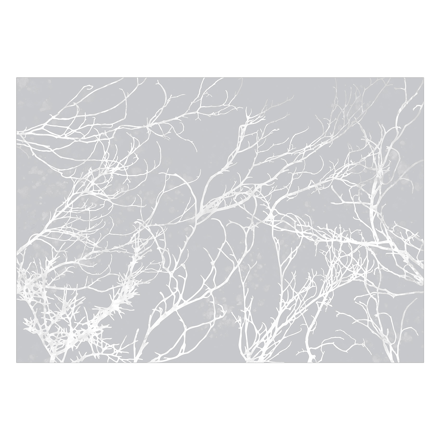Fototapet Arkiio White Trees